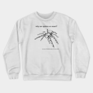 why are spiders so smart? Crewneck Sweatshirt